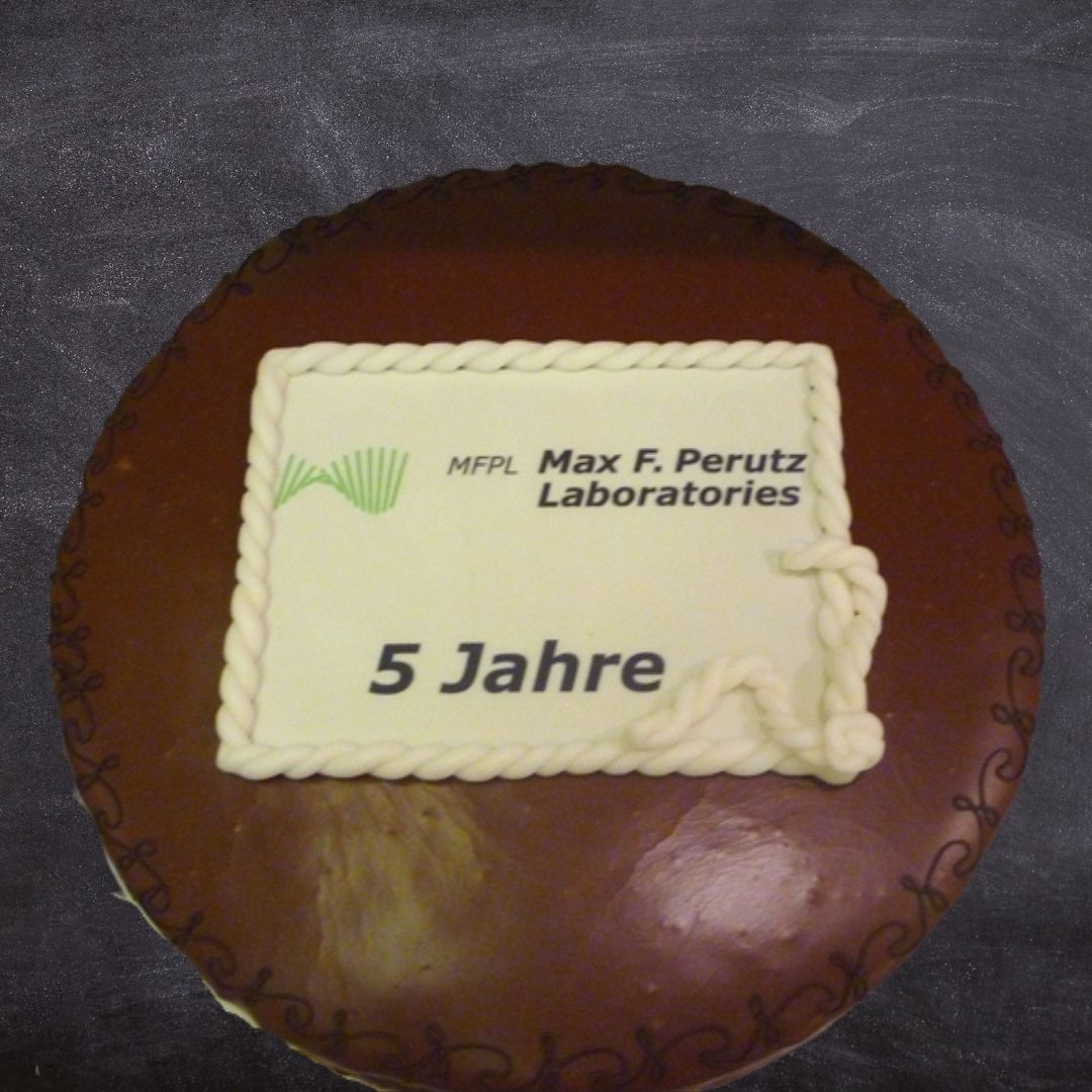Feiern auch Sie Ihr Firmenfest mit einer handgemachten Torte von froemmel's in 1070 Wien.