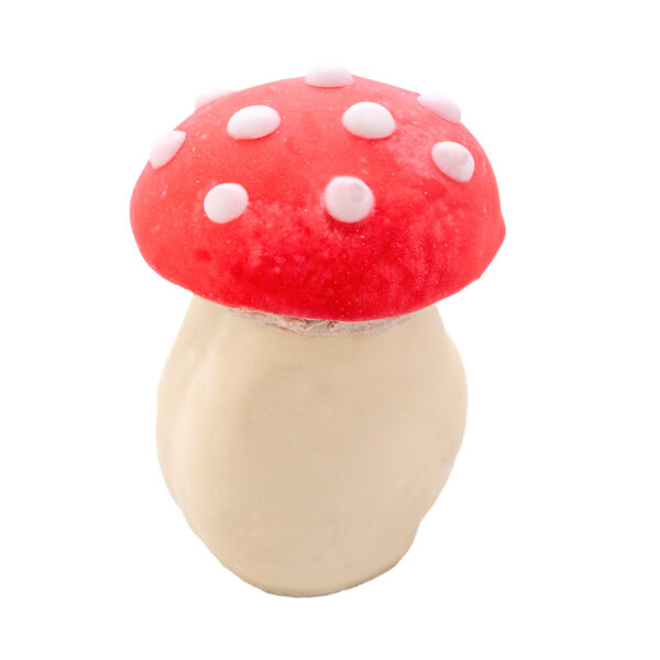 Fliegenpilz